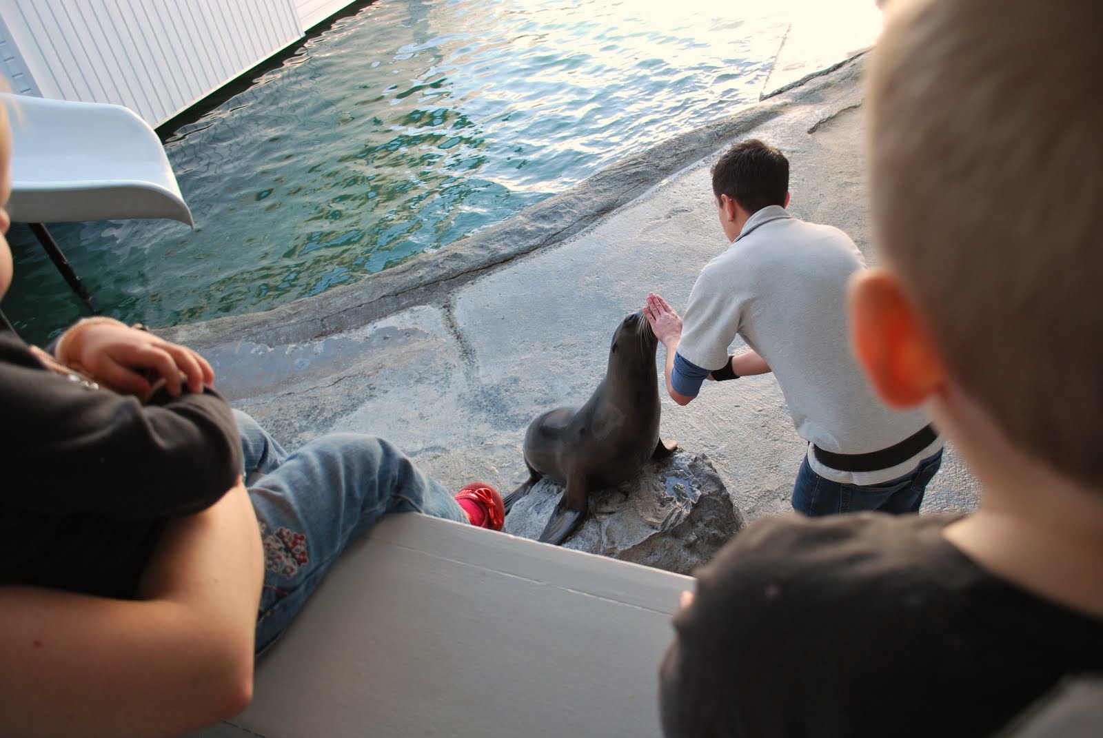 Baker Family Blog Crescent City Aquarium, Second Visit