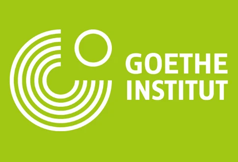 Goethe-Institut Namibia AfriComics Videos 2021