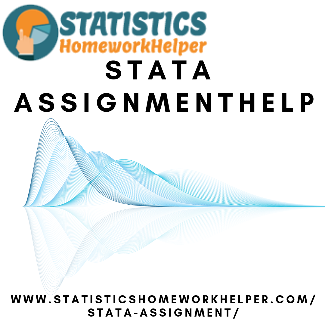 Stata assignment image