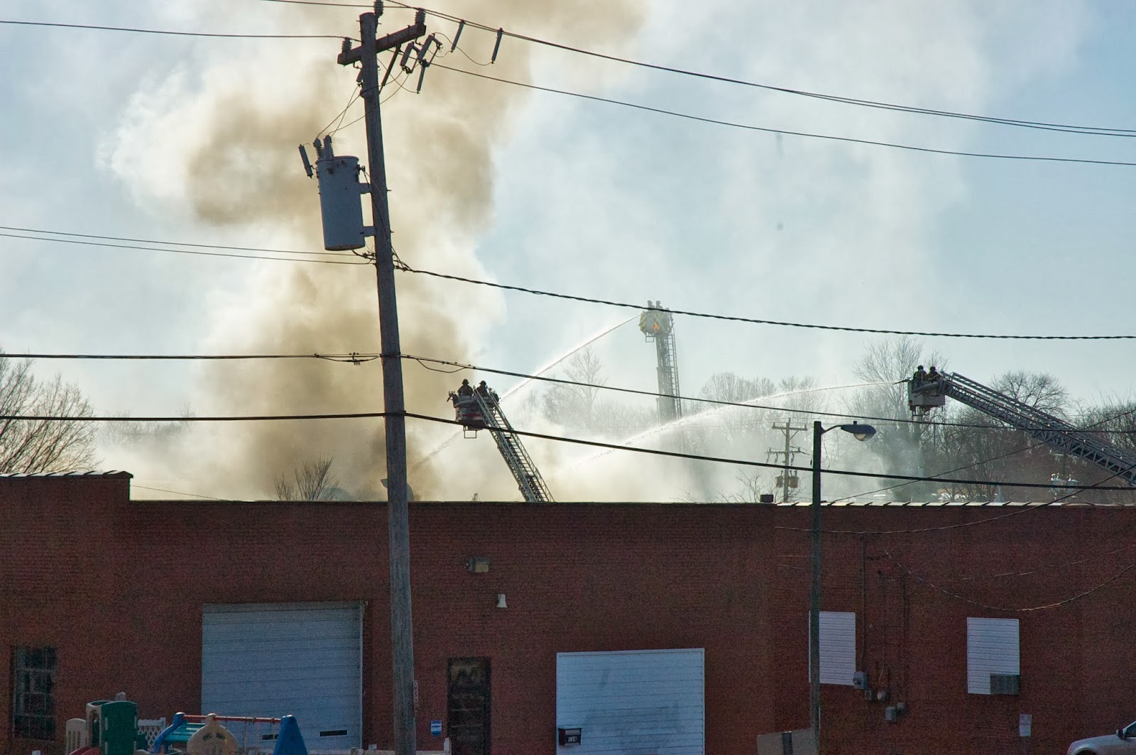 Photos Fire on South Elm Street downtown Greensboro Spiky Green Plant