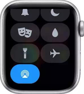 Arti Icon dan Simbol di Apple Watch-11