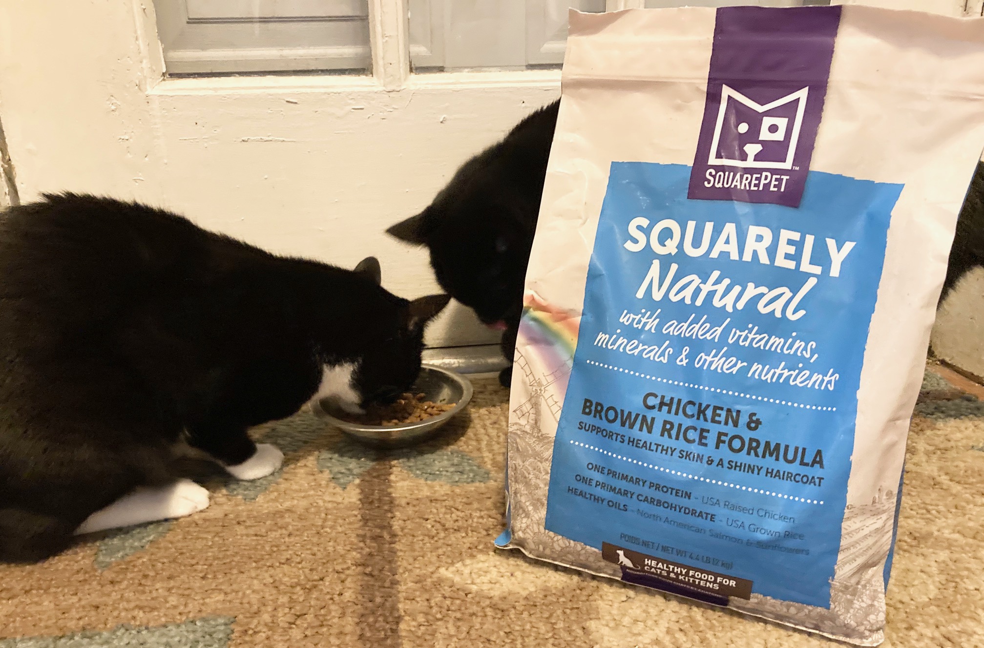 Square One Pet Nutrition with Squarely Natural for Cat + Dog Wellness