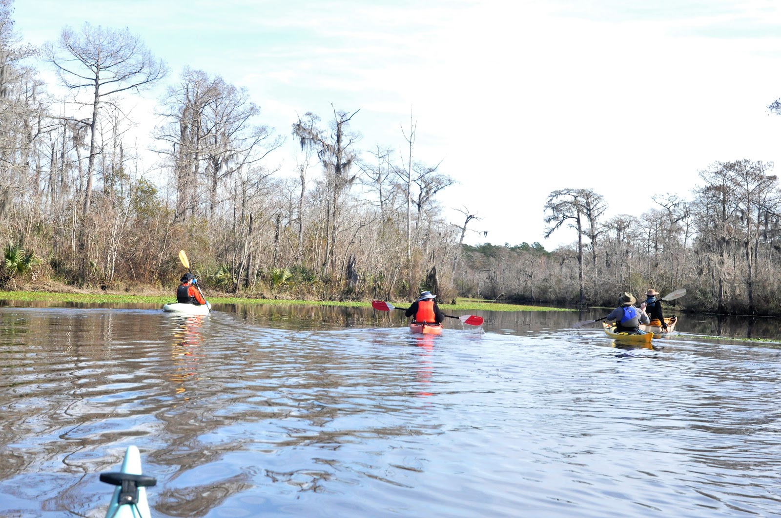 Southeastern Louisiana Paddling Paddling Bogue Homa Logtown