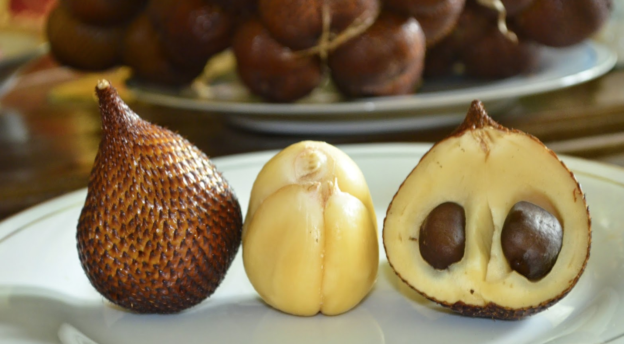 10 Jenis Jenis Salak Khas Bangkalan Madura