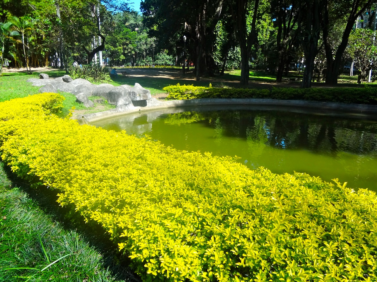 Parque Jardim da Luz em São Paulo ~ Áreas Verdes das Cidades - Guia de ...