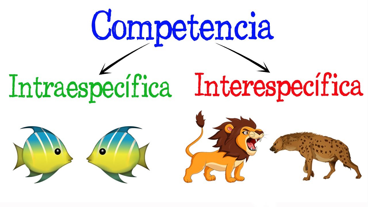GRADO TERCERO Relaciones Intraespecíficas e Interespecíficas GRADO TERCERO Relaciones Intraespecíficas e Interespecíficas