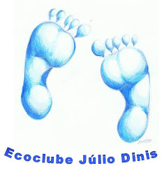 Ecoclube Júlio Dinis