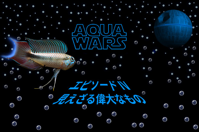 AQUA WARS episode4 見えざる偉大なもの