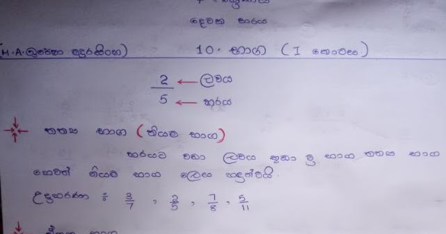 Mathematics Homework - Grade 7