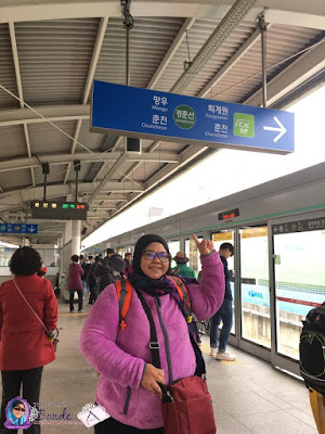 Bajet Dan Internary Travel ke Korea Style  Backpackers Hari #2 Nami Island - Dongdaemun