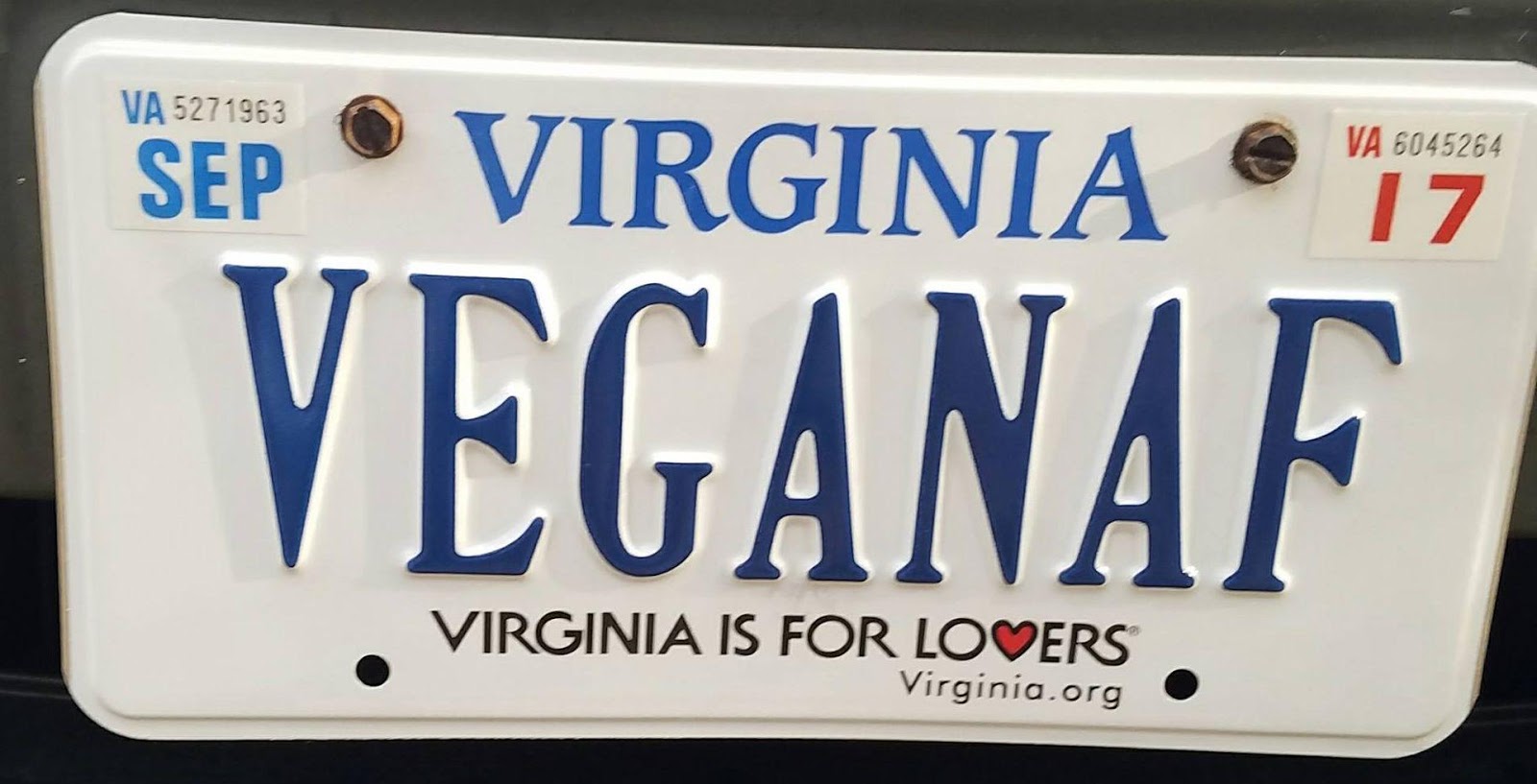 Funny Vanity License Plates Virginia My Crazy Email