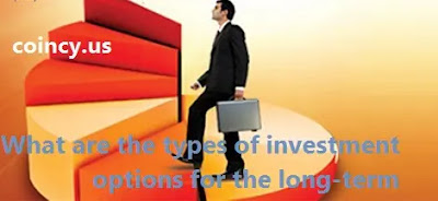 What are the types of investment options for the long-term?