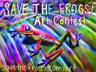 Save The Frogs Art Contest