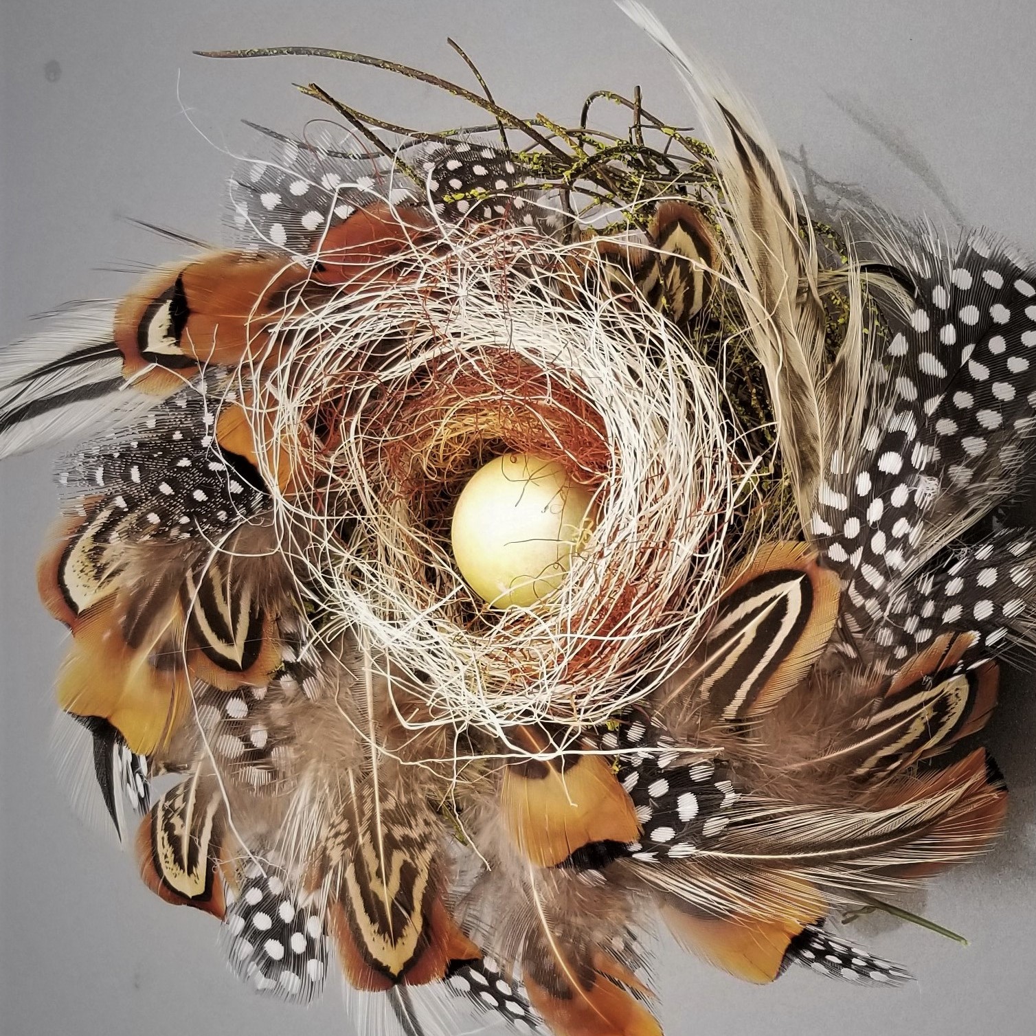 The Nest at Windy Corner It's time to feather your nest!