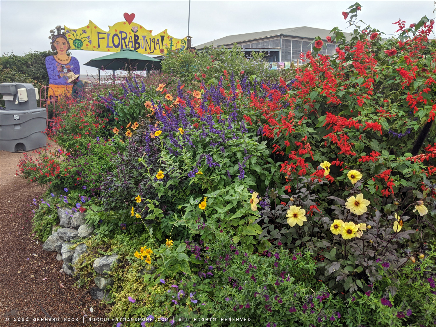 Quick trip to Annie's Annuals—20 off sale until October 11, 2020