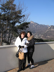 Overlooking the city of Seoul