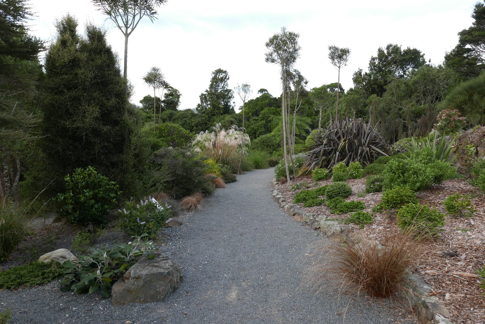 Jeffrey Bale S World Of Gardens Otari Native Plant Botanical