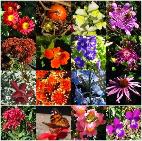 Flower garden collage