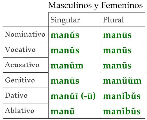 declinaciones cuarta declinacion