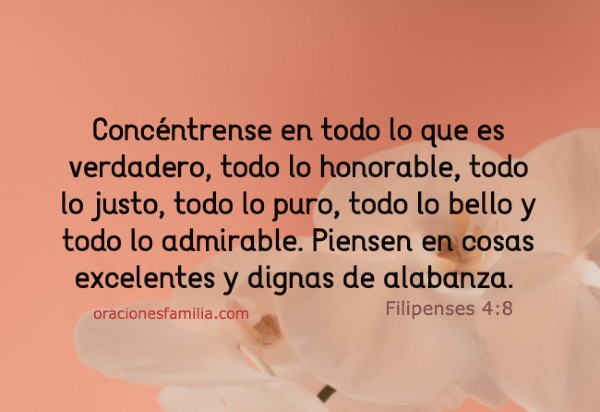 imagen con versiculo biblico filipenses 4 pensar en lo bueno agradable frases para la mañana positiva