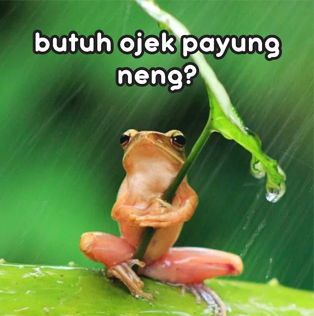 25+ Meme Hujan Lucu Terbaru Paling Gokil dan Kocak! - Gambar Lucu Terbaru