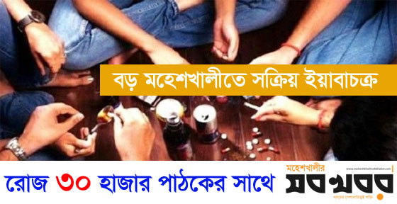 বড় মহেশখালীতে সক্রিয় ইয়াবাচক্র, হাত বাড়ালেই মিলছে মাদক বড় মহেশখালীতে সক্রিয় ইয়াবাচক্র, হাত বাড়ালেই মিলছে মাদক