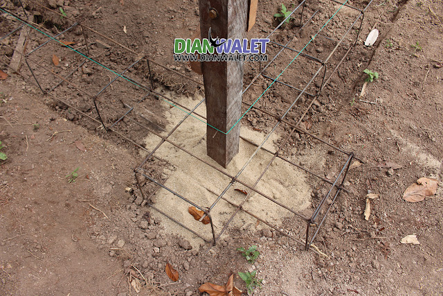 Rumah Sarang Burung Walet Dari Rangka Ulin Dian Walet Rumah Sarang Burung Walet Dari Rangka Ulin Dian Walet