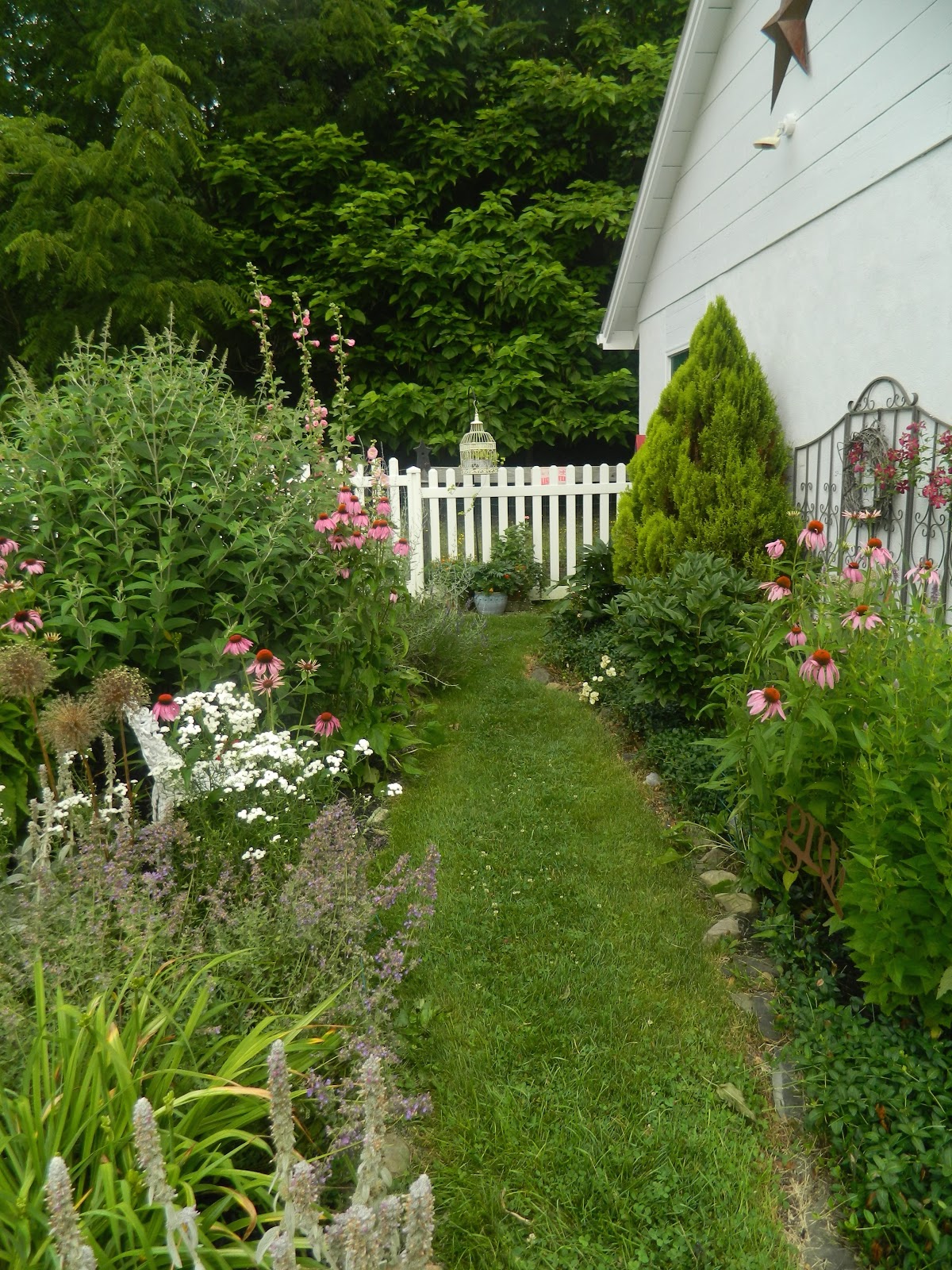 Pam's English Cottage Garden: English Cottage Garden Style for July