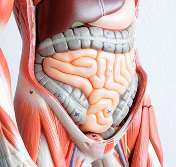 colon irritable causas