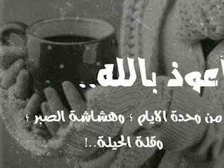 4ld9QTKb