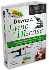 Just Published in Oct. 2012! Beyond Lyme Disease