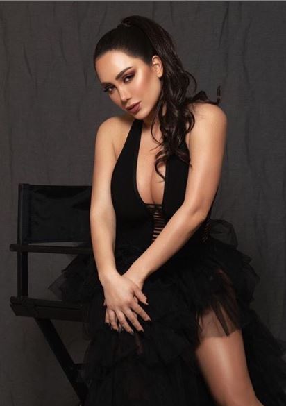 ملكة الرقص الشرقي \"اليسار\" في عيد ميلادها.. أجمل 8 إطلالات في 2019 ملكة الرقص الشرقي \"اليسار\" في عيد ميلادها.. أجمل 8 إطلالات في 2019