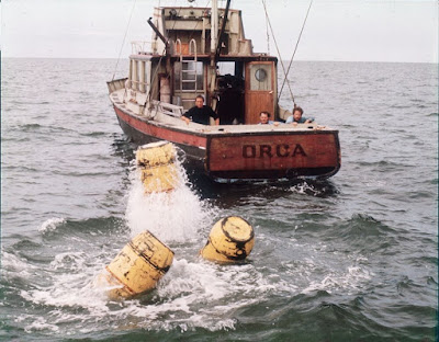 Three men stare at three barrels attached to a shark