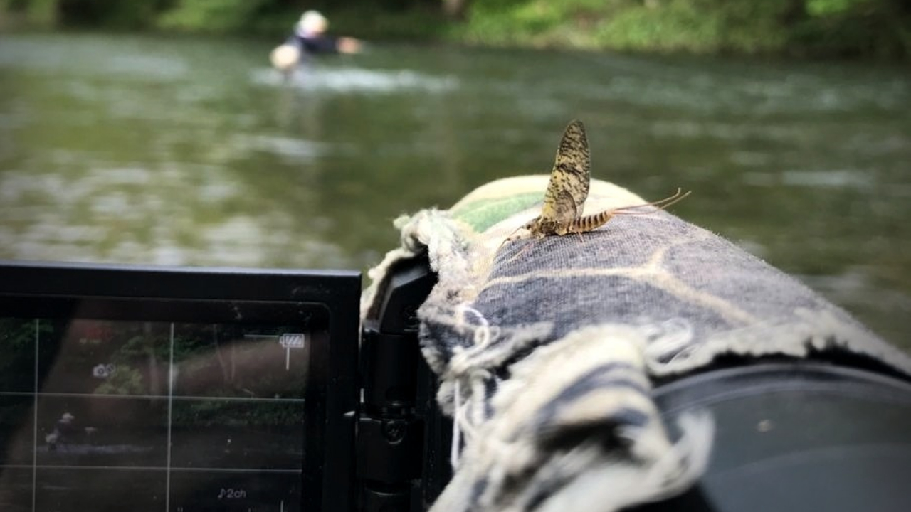 Suffering Outdoors and PA Woods N Water Collaboration Suffering Outdoors