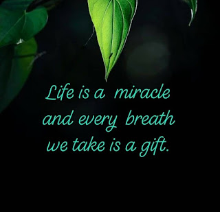 Miraculous gifts 4 IMG 20191216 123206