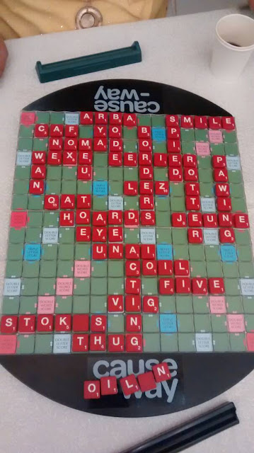 Bayer Scrabble 2017 20