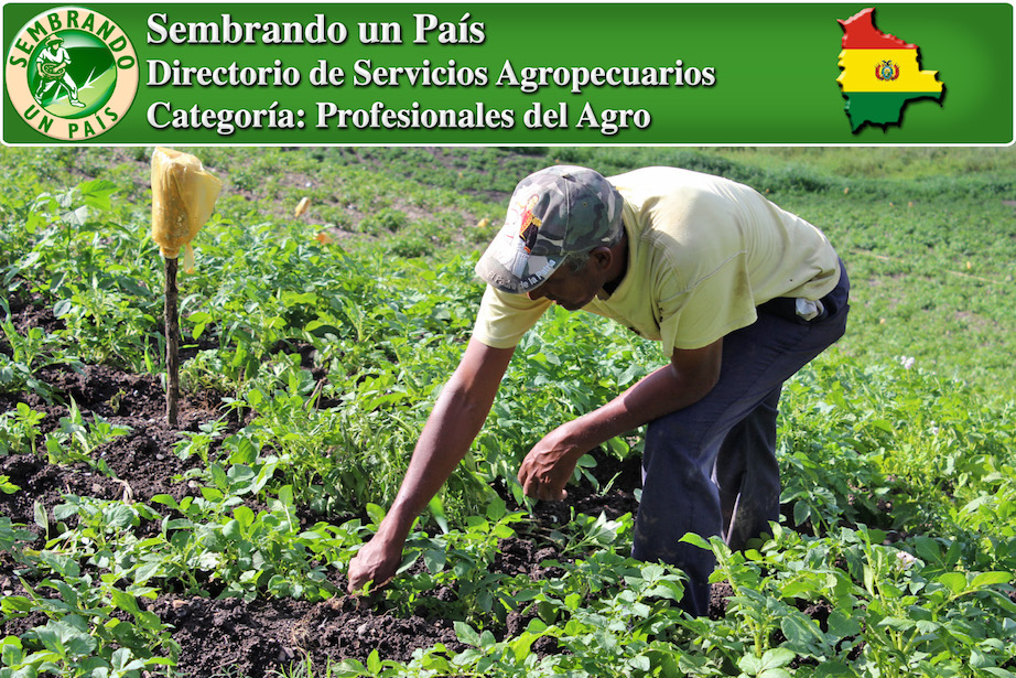 busco profesionales del agro en bolivia