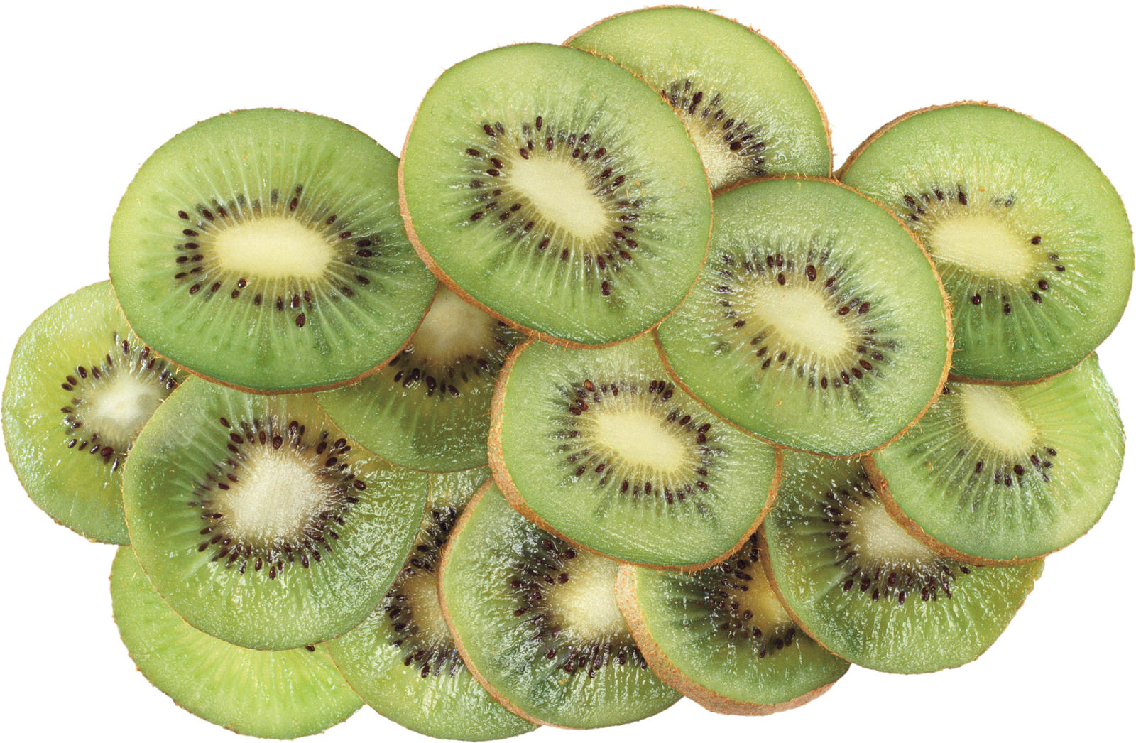 gambar kiwi