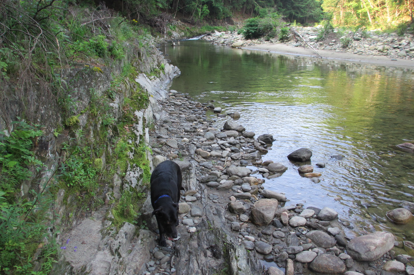 Reluctant Rebel Off the Grid Again Vermont Rock River Ledges