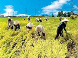 Malaking bahaging ekonomiya ay nakadepende sa sektor ng agrikultura