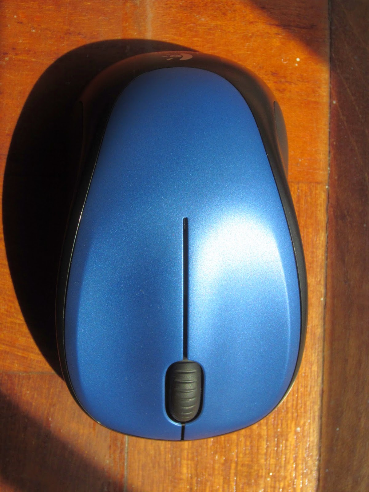 Leothoughts: Wireless Mouse Review