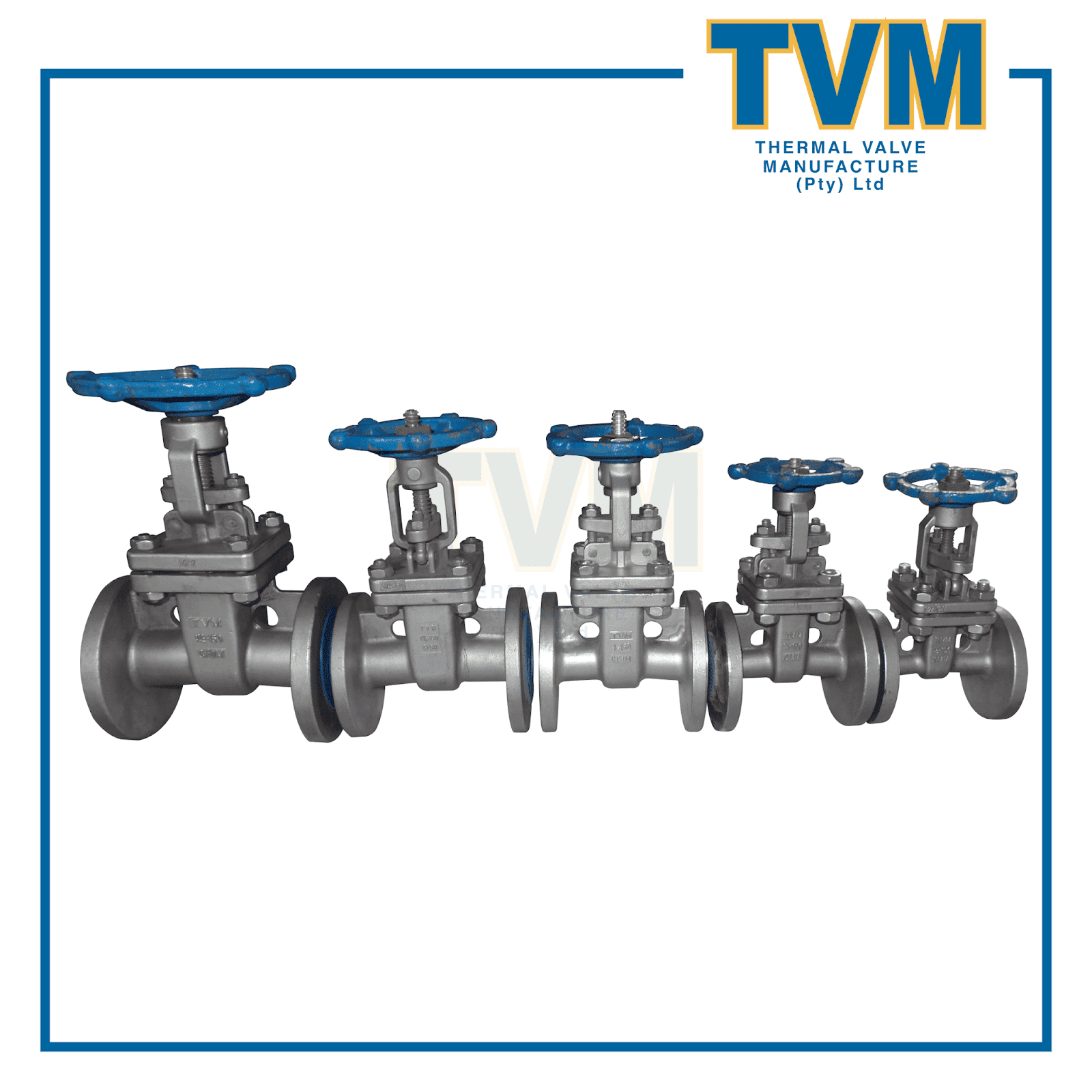 LVSA Group (Pty) Ltd Gate Valve Bolted Flanged