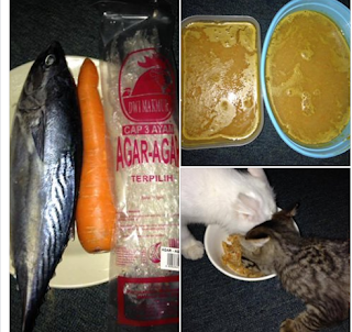 Bancuh Sendiri Makanan Kucing