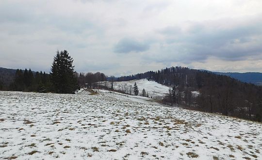 Polana nad Wierchomlą.