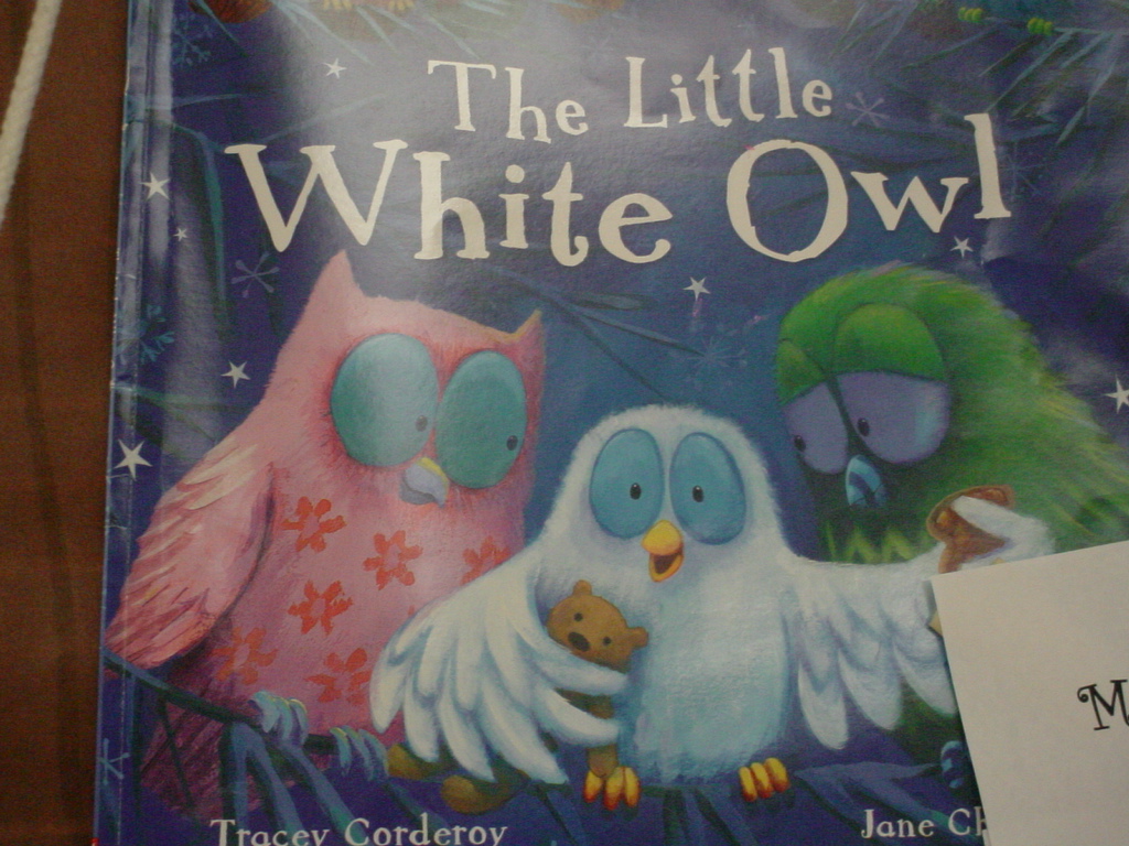 Diary of a First Grade Teacher The Little White Owl