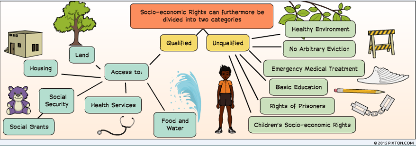 socio economic rights thesis