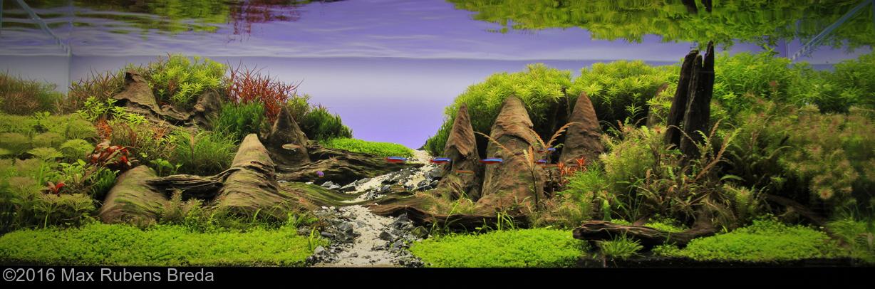 european aquascape channel 2016