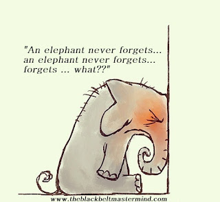 an elephant never forgets