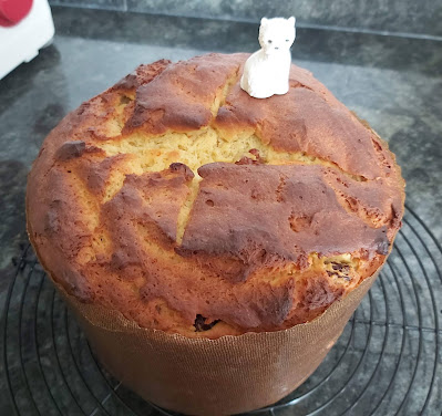 Panettone sin gluten 2.0 (receta mejorada)