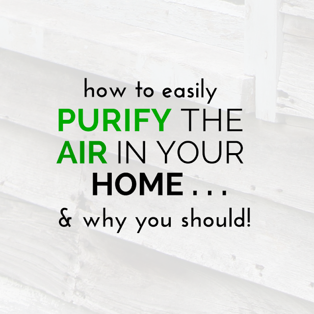 The air in your home could be more polluted than your outside air causing flu, headaches and serious disease! Tap into quick strategies here for easy solutions to remedy those musty smelling and toxin-laden environments to breath easy and make your home smell great! TheHealthMinded.com The air in your home could be more polluted than your outside air causing flu, headaches and serious disease! Tap into quick strategies here for easy solutions to remedy those musty smelling and toxin-laden environments to breath easy and make your home smell great! TheHealthMinded.com